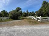  Clough Creek Road - Photo 5