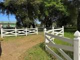  Clough Creek Road - Photo 6