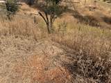 13545 Old Oregon Trail - Photo 3