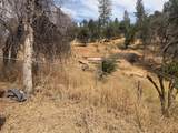 13545 Old Oregon Trail - Photo 4