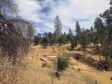 13545 Old Oregon Trail - Photo 5