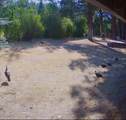 12755 Clearbrook Drive - Photo 28