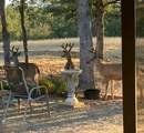 19533 Lake California Drive - Photo 19