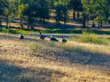 8499 Simmons Road - Photo 32