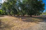 13320 Fernie Way - Photo 41