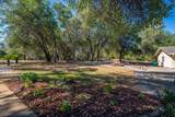13320 Fernie Way - Photo 42