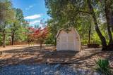 13320 Fernie Way - Photo 43