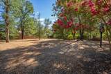 13320 Fernie Way - Photo 44