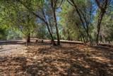13320 Fernie Way - Photo 49