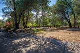13320 Fernie Way - Photo 51