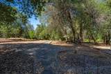 13320 Fernie Way - Photo 53