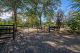 13320 Fernie Way - Photo 60
