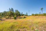 13679 Old Oregon Trail - Photo 4