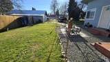 303 Pine Street - Photo 7