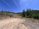 15210 Glendale Pines Drive - Photo 10