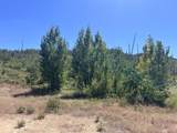15210 Glendale Pines Drive - Photo 16