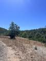 15210 Glendale Pines Drive - Photo 37