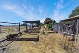 16741 Gas Point Road - Photo 40