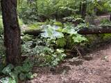 30439 Mud Springs Road - Photo 25