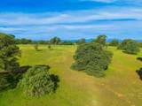 Lot 42 Emerald Downs Lane - Photo 39