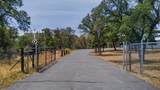 4702 Happy Valley Road - Photo 2