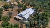 4702 Happy Valley Road - Photo 4