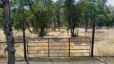 4702 Happy Valley Road - Photo 41