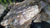 Lot 266 Cottonwood Creek Road - Photo 10
