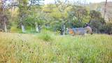 Lot 266 Cottonwood Creek Road - Photo 16