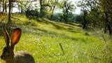 Lot 266 Cottonwood Creek Road - Photo 17