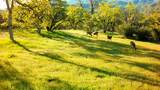 Lot 266 Cottonwood Creek Road - Photo 18