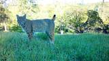 Lot 266 Cottonwood Creek Road - Photo 20