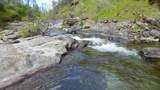 Lot 266 Cottonwood Creek Road - Photo 25
