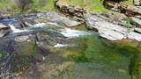 Lot 266 Cottonwood Creek Road - Photo 26