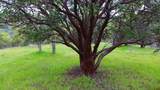 Lot 266 Cottonwood Creek Road - Photo 29