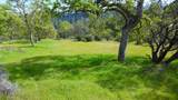 Lot 266 Cottonwood Creek Road - Photo 31