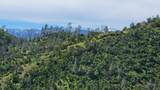 Lot 266 Cottonwood Creek Road - Photo 4