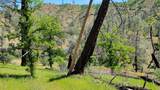 Lot 266 Cottonwood Creek Road - Photo 6