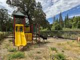 25100 Big Bend Road - Photo 56