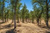 19600 Hidden Hills Road - Photo 80