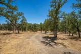 19600 Hidden Hills Road - Photo 81