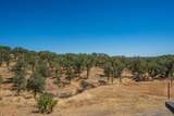 19600 Hidden Hills Road - Photo 87