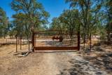 19600 Hidden Hills Road - Photo 89
