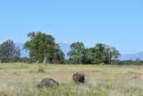  French Creek Road - Photo 7