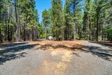 7890 Ponderosa Way - Photo 51