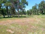 10 Acres Two Feathers Road - Photo 3