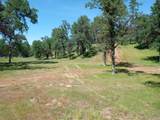 10 Acres Two Feathers Road - Photo 4