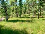 10 Acres Two Feathers Road - Photo 6