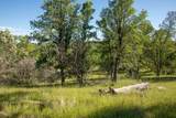  Quail Ridge - Photo 11