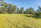  Quail Ridge - Photo 13
